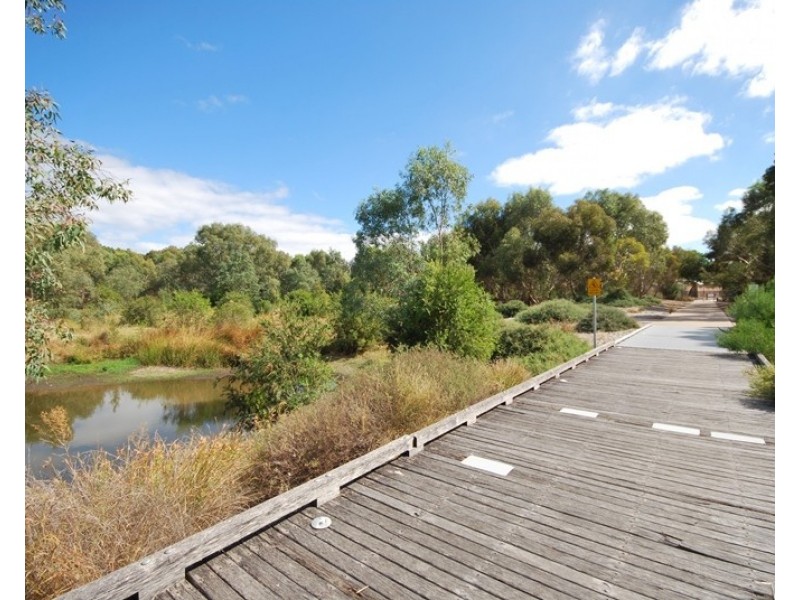 71 Hill Street, Campbelltown SA 5074