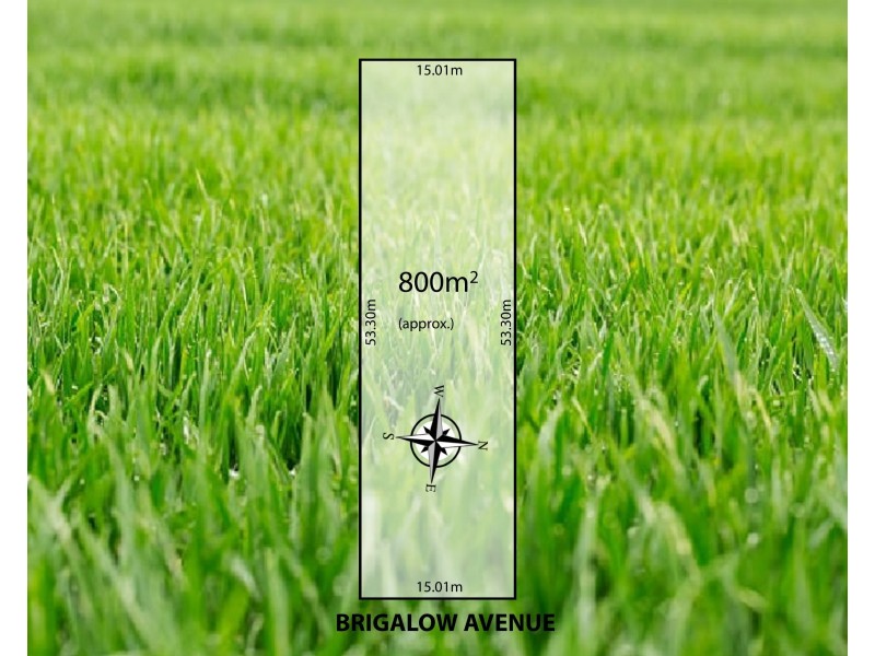 27A Brigalow Avenue, Kensington Gardens SA 5068