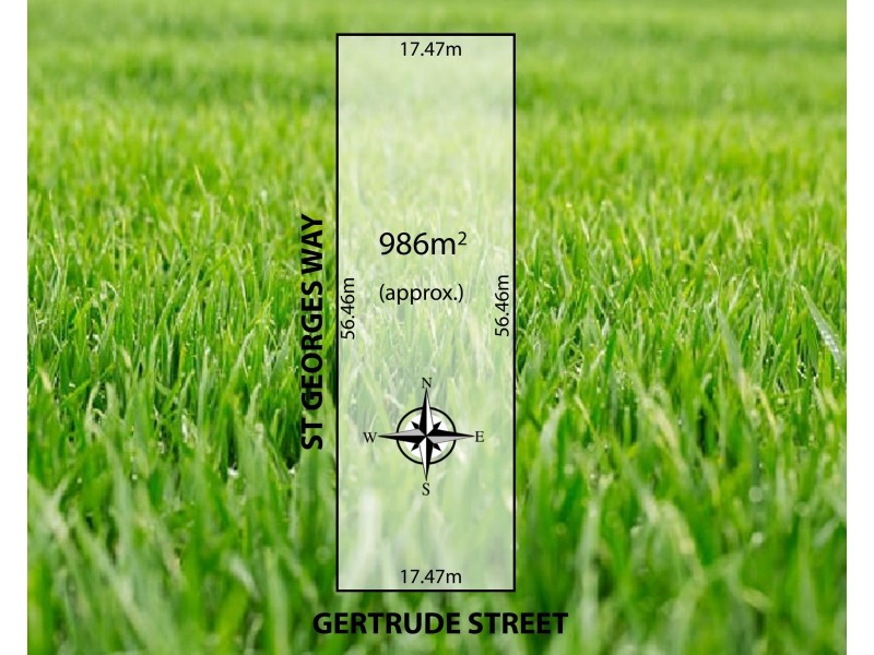 7 Gertrude Street, Magill SA 5072