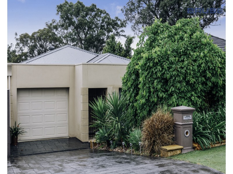 53B Sparks Terrace, Rostrevor SA 5073