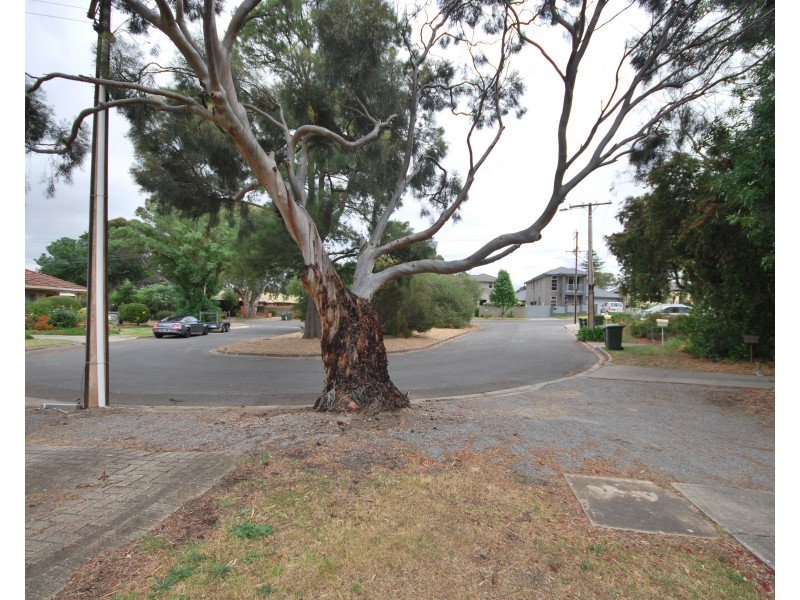 1 to 6/6 – 8 Olive Court, Magill SA 5072
