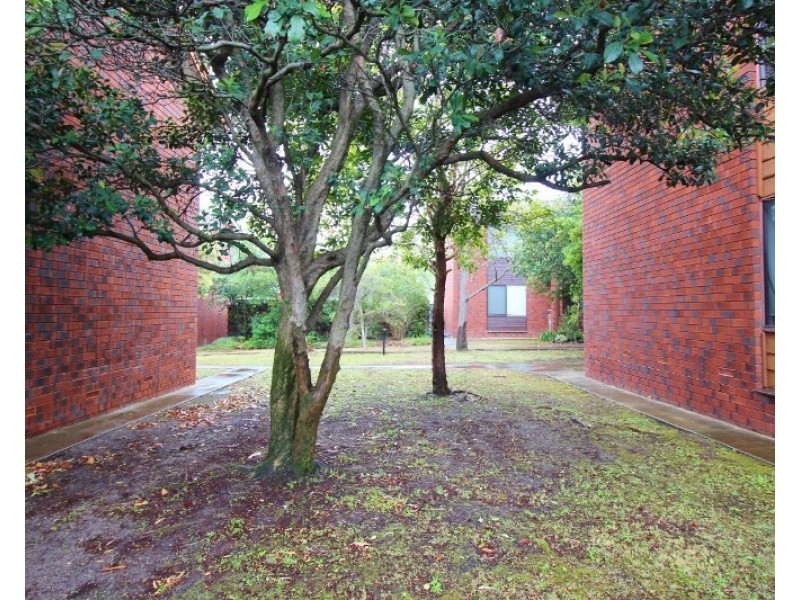 12/20 Roberts Street, Unley SA 5061