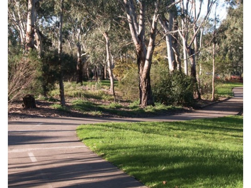 3 Ind Street, Paradise SA 5075