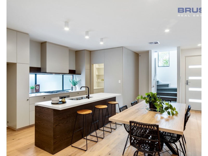 19 Carter Street, Magill SA 5072