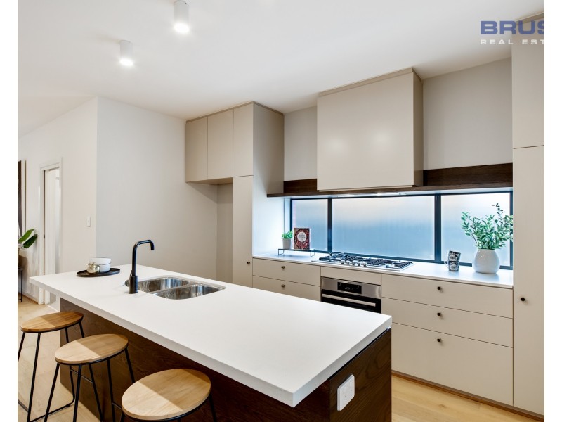 19 Carter Street, Magill SA 5072