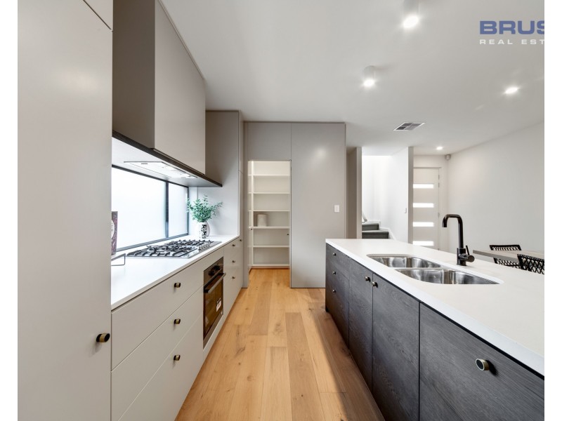 19 Carter Street, Magill SA 5072