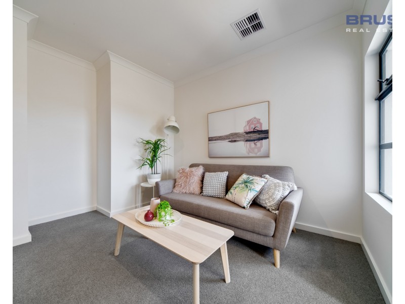 19 Carter Street, Magill SA 5072