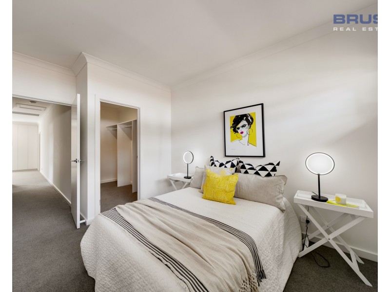 19 Carter Street, Magill SA 5072