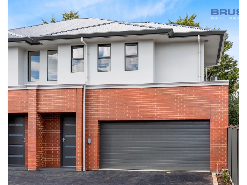 19 Carter Street, Magill SA 5072
