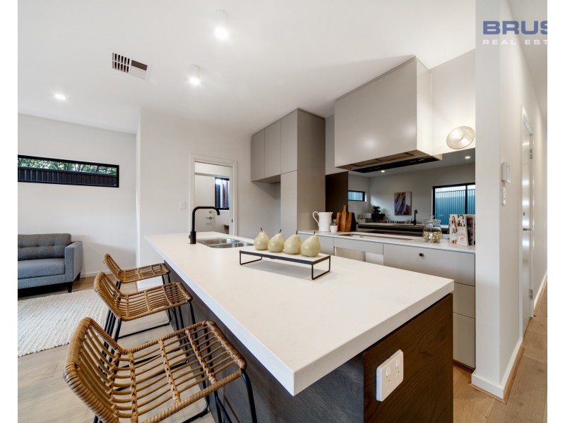 19 Carter Street, Magill SA 5072