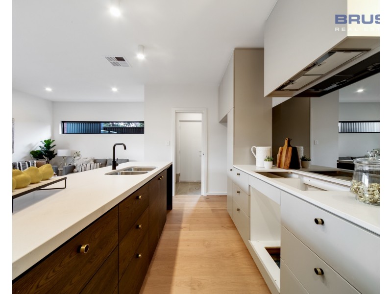 19 Carter Street, Magill SA 5072
