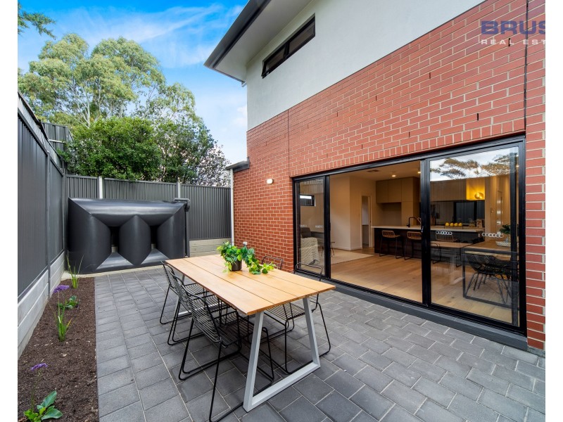 19 Carter Street, Magill SA 5072