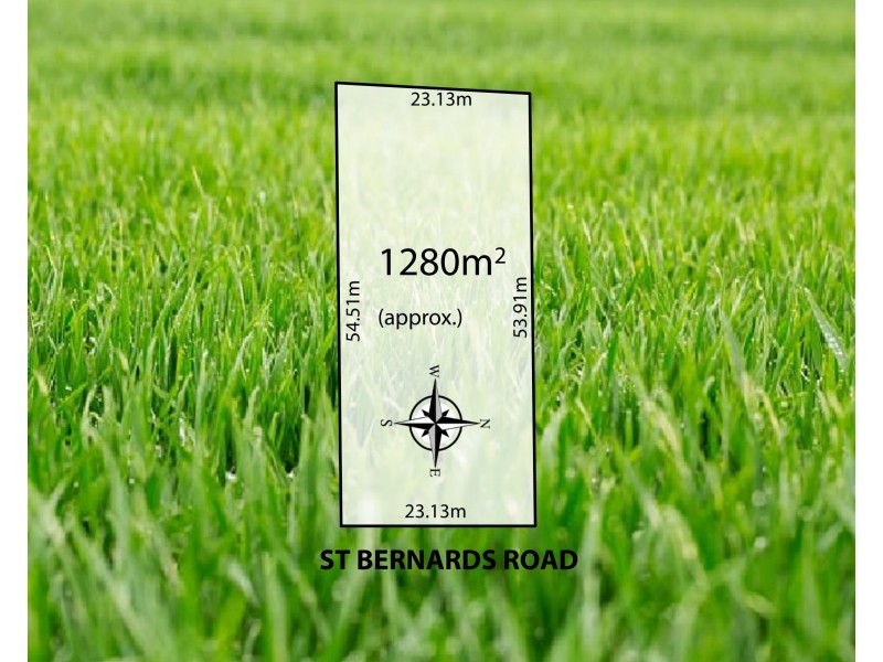 186 St Bernards Road, Hectorville SA 5073