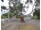6 Olive Court, Magill SA 5072