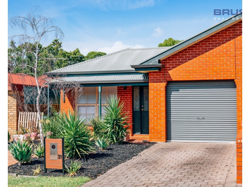 31 Stoneybrook Drive, Paradise SA 5075