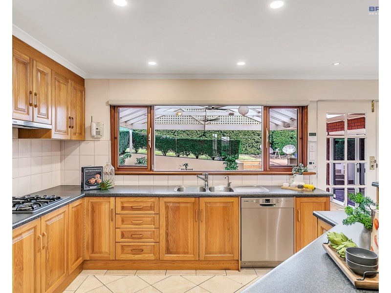 56 Addison Avenue, Athelstone SA 5076