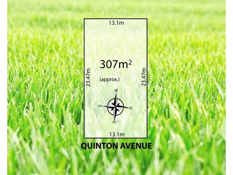 2 Quinton Avenue, Tranmere SA 5073