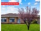 5 Flotta Street, Newton SA 5074