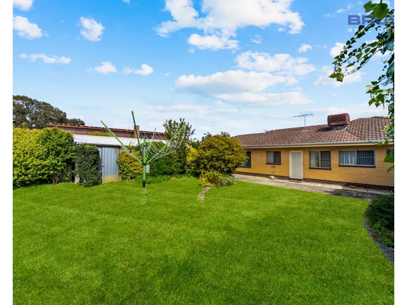 5 Flotta Street, Newton SA 5074