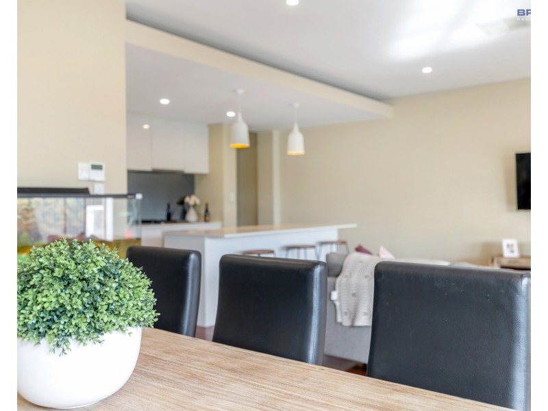 13 Gordon Terrace, Morphettville SA 5043