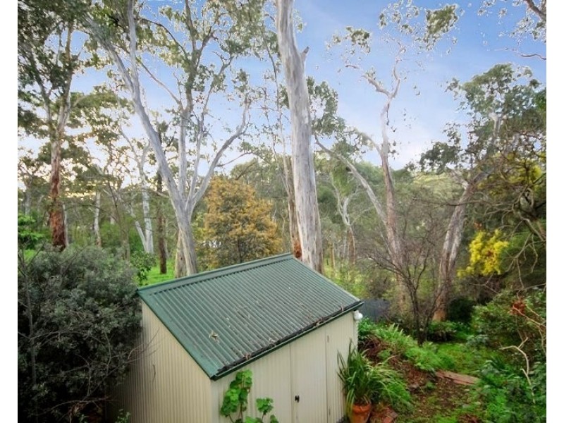 121 Sheoak Road, Belair SA 5052