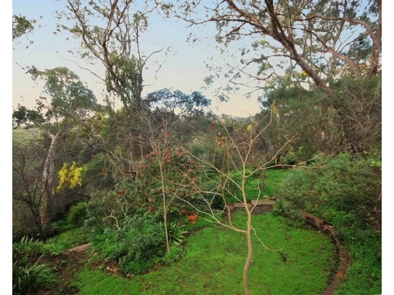 121 Sheoak Road, Belair SA 5052