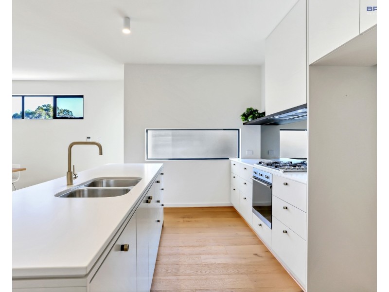8 Ashbrook Avenue (Corner of Lewis Road), Payneham SA 5070