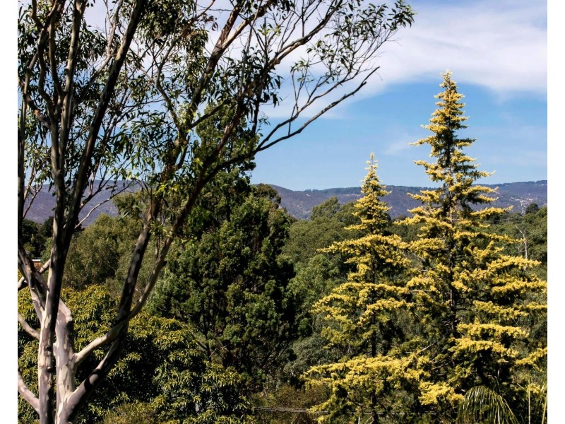 45B Flinders Drive, Valley View SA 5093