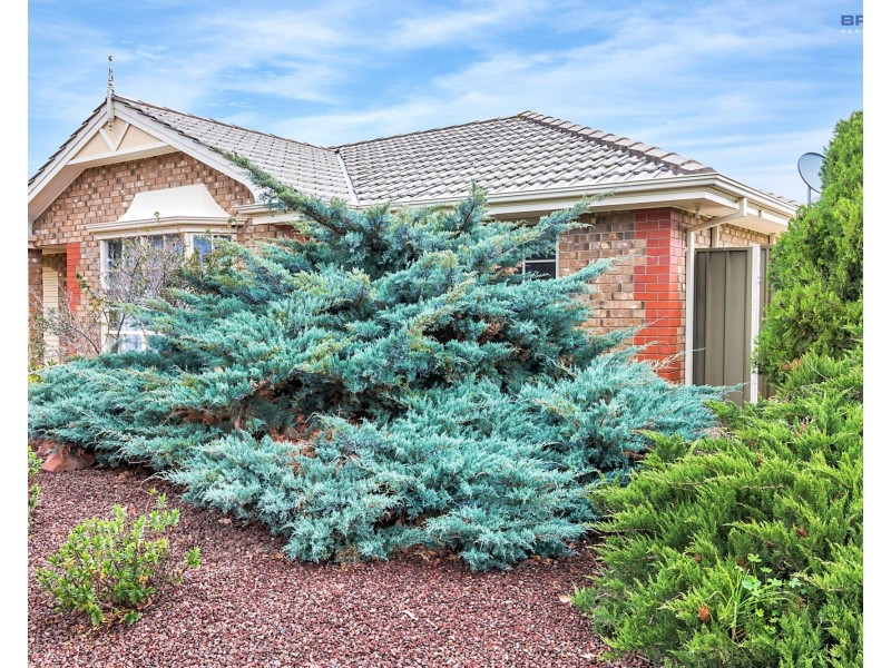 2/98 Crozier Avenue, Newton SA 5074