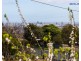 76 Dashwood Road, Beaumont SA 5066