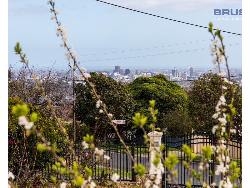76 Dashwood Road, Beaumont SA 5066
