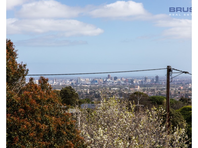 76 Dashwood Road, Beaumont SA 5066
