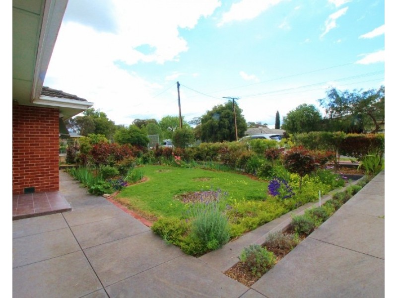 18 Sunhaven Avenue, Athelstone SA 5076