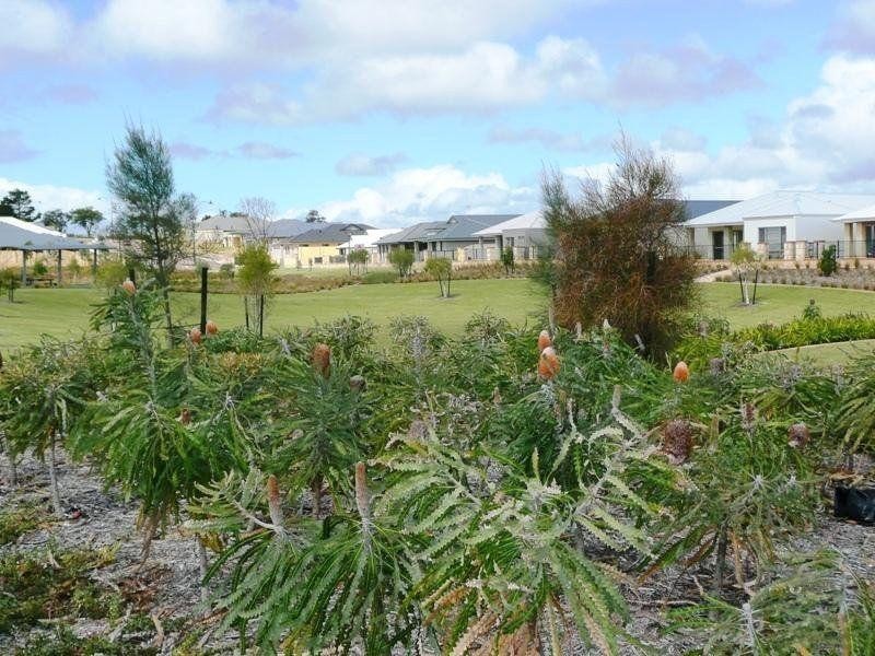 32 Durango Turn, Aubin Grove WA 6164