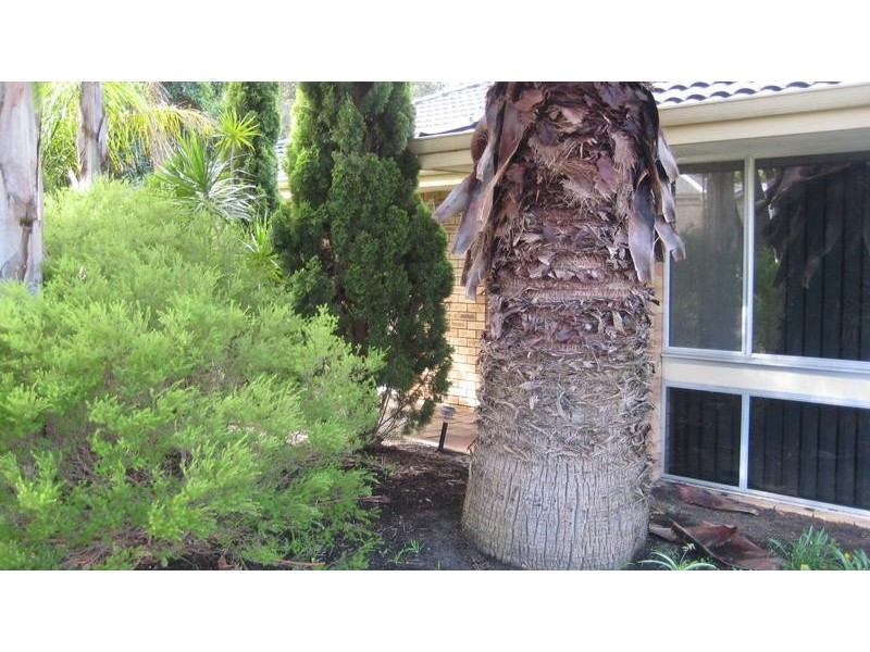 38 Walter Street, Gosnells WA 6110