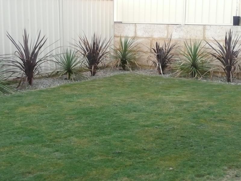 10 Lugano Terrace, Beeliar WA 6164