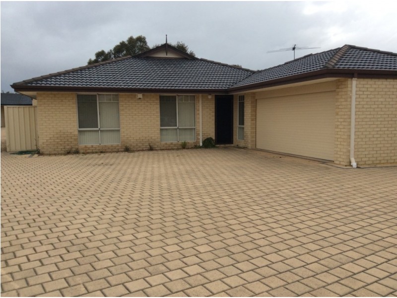 13A Burney Court, Kardinya WA 6163