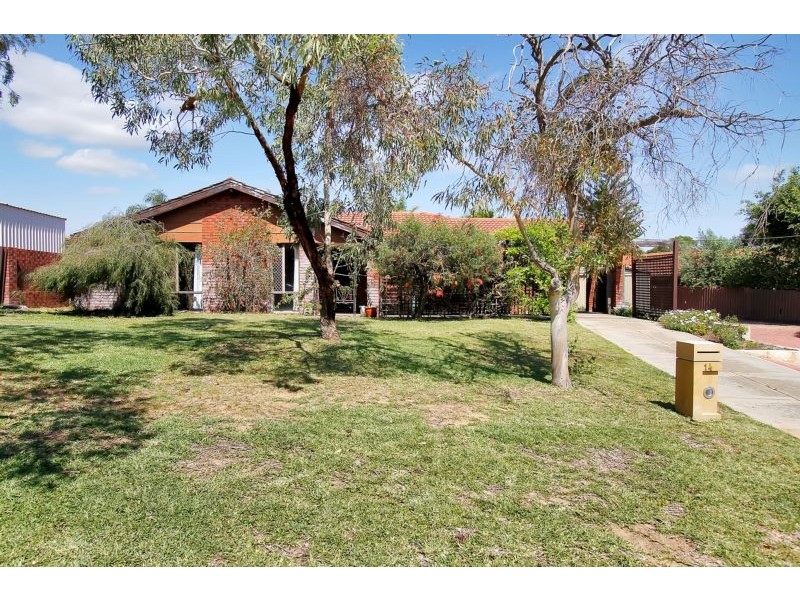 14 Lilly Court, Spearwood WA 6163