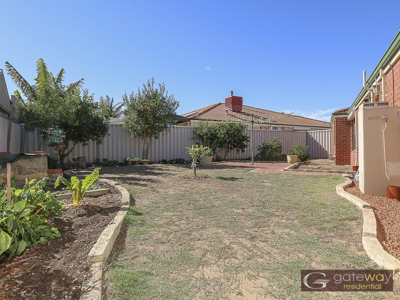 11 Wauhop Circle, Beeliar WA 6164