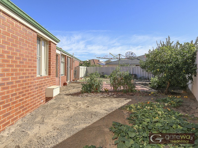 11 Wauhop Circle, Beeliar WA 6164