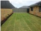 29 Verbania Loop, Beeliar WA 6164