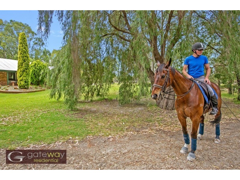 53 Robinson Road, Wandi WA 6167