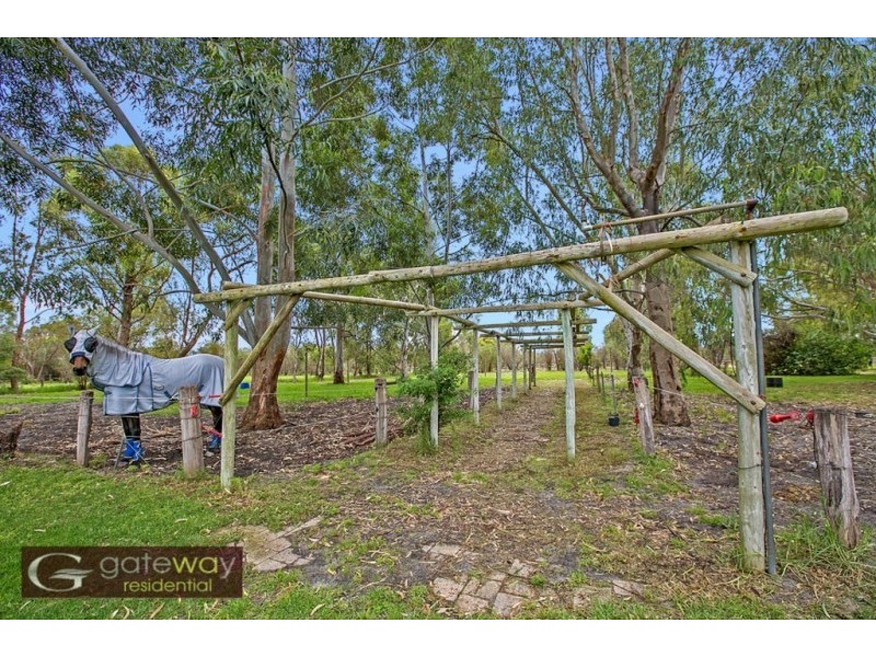 53 Robinson Road, Wandi WA 6167
