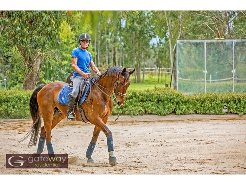 53 Robinson Road, Wandi WA 6167