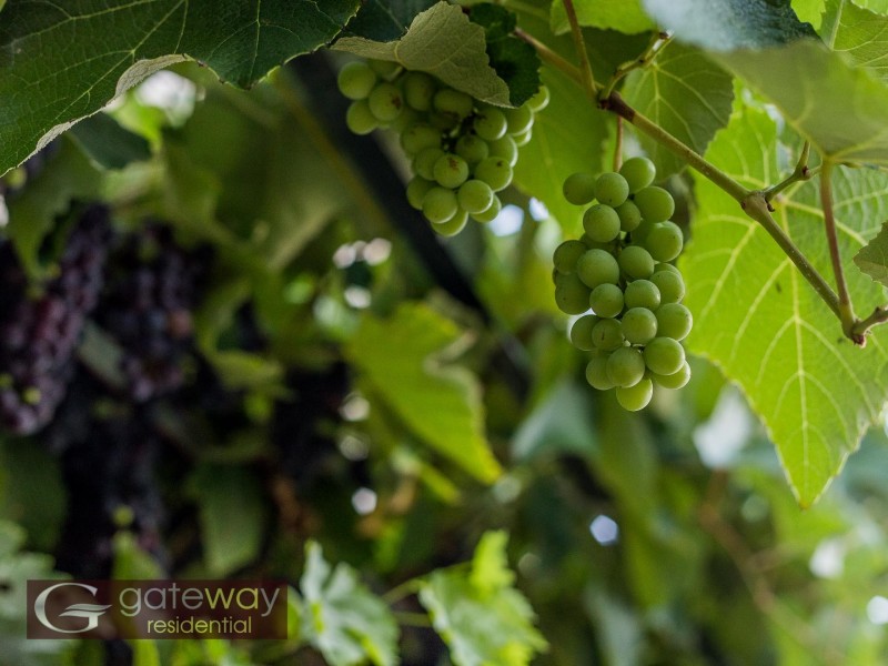 52 Birkett Avenue, Beeliar WA 6164