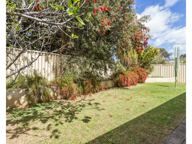21 Wilkes Street, Hamilton Hill WA 6163