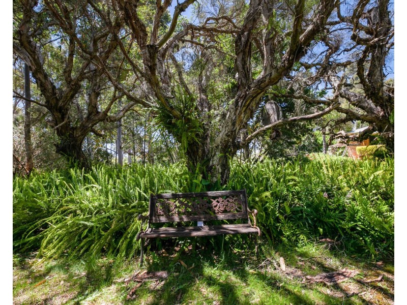 208 Gibbs Road, Banjup WA 6164