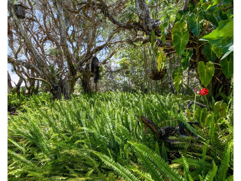 208 Gibbs Road, Banjup WA 6164