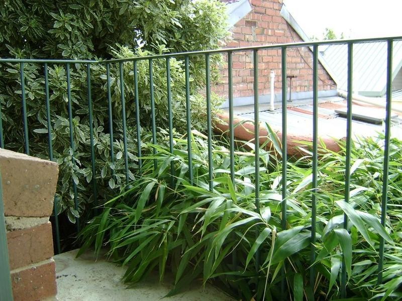 9/173 Keele Street, Collingwood VIC 3066