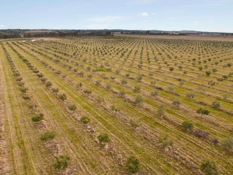 375 Loemans Road, Bulla VIC 3428